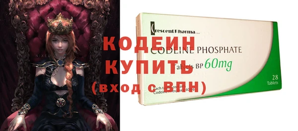 индика Нея
