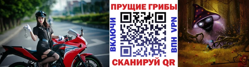 Псилоцибиновые грибы мухоморы  kraken онион  Яблоновский 
